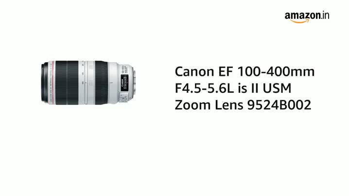 デジタルカメラ Canon EF 100-400mm f/4.5-5.6L IS USM EF100-400mm F4.5-5.6L IS USM - キヤノンカメラミュージアム